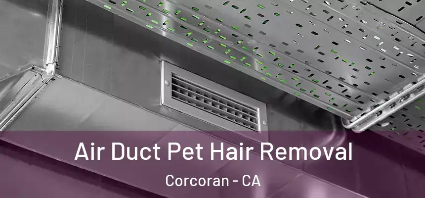 Air Duct Pet Hair Removal Corcoran - CA