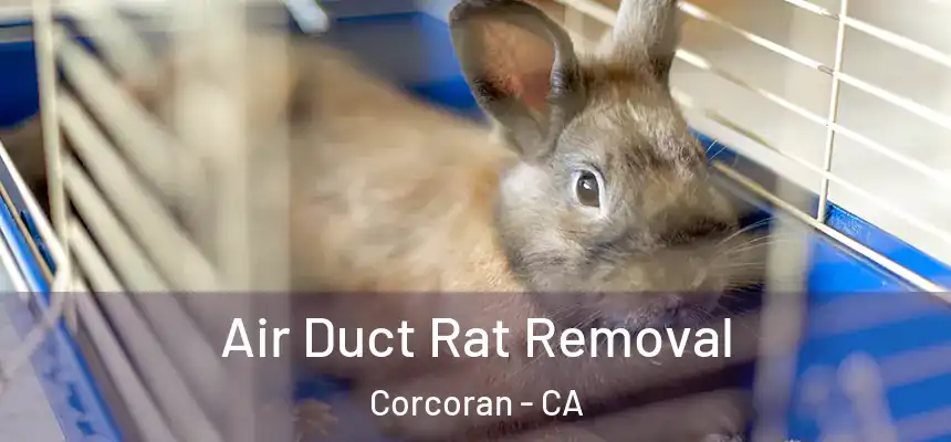 Air Duct Rat Removal Corcoran - CA