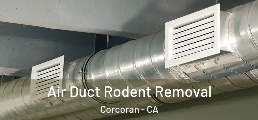  Air Duct Rodent Removal Corcoran - CA