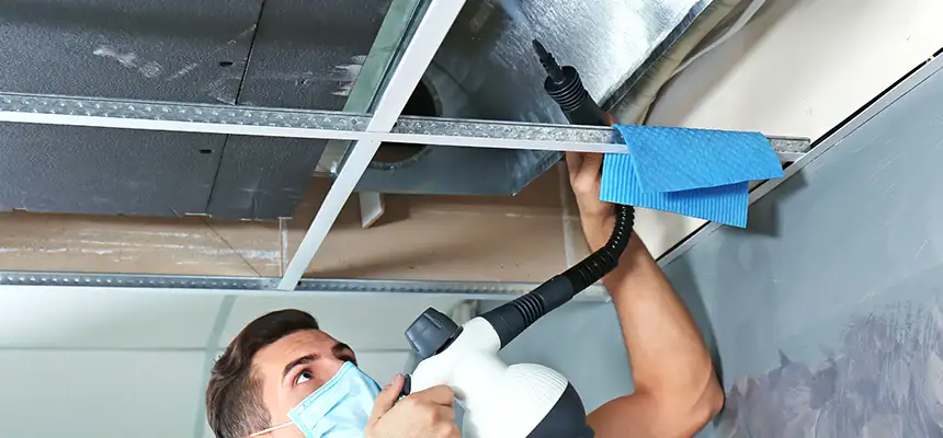 Our Air Duct Rodent Removal Services in Corcoran, CA