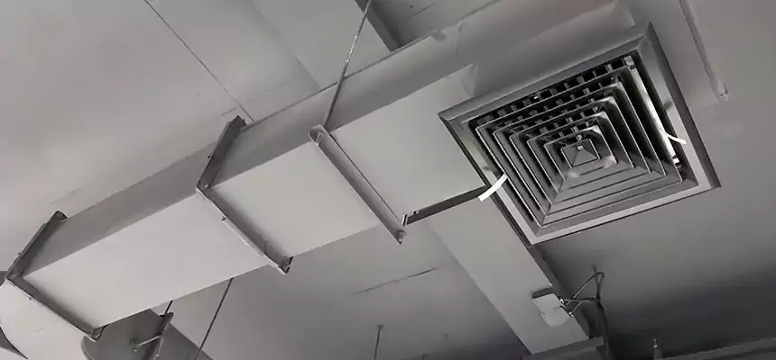 Restorative Allergy Relief Vent Cleaning – Coil, Blower & Housing Detail in Corcoran