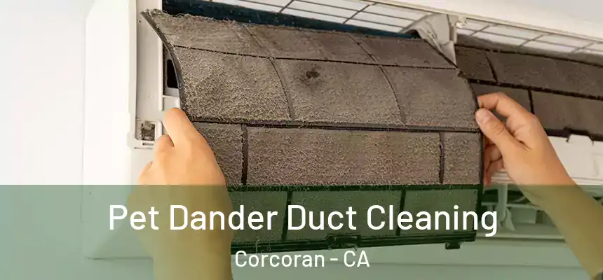 Pet Dander Duct Cleaning Corcoran - CA