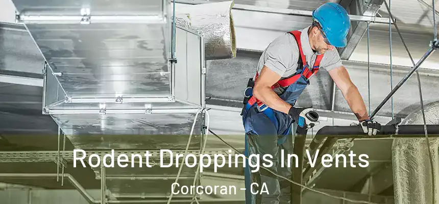  Rodent Droppings In Vents Corcoran - CA