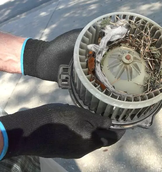 About Air Duct Mice Removal in Corcoran, CA