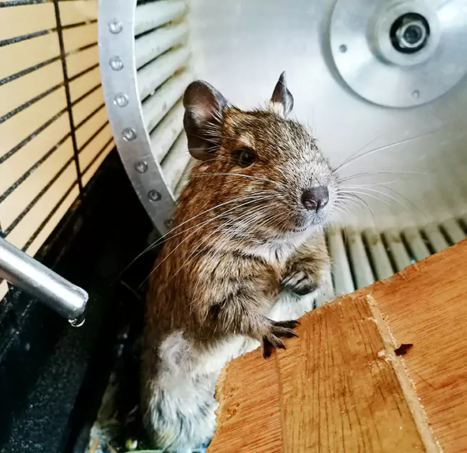 Why Homeowners & Businesses Trust Us Corcoran, CA